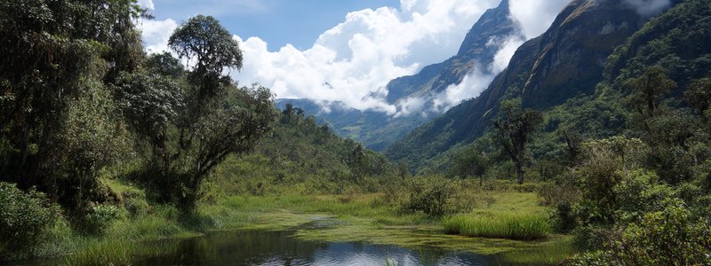 Peru’s Protected Areas: Pacaya‑Samiria & Huascarán National Park in Peru