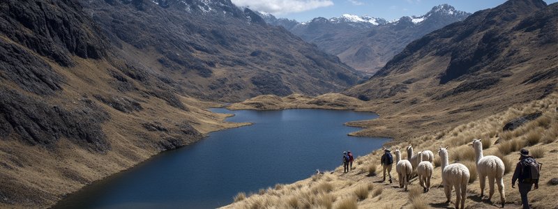 Hikers walking past alpacas near a high Andean lake on the Lares Trek