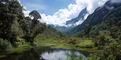 Peru’s Protected Areas: Pacaya‑Samiria & Huascarán National Park in Peru