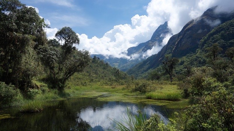 Peru’s Protected Areas: Pacaya‑Samiria & Huascarán National Park in Peru