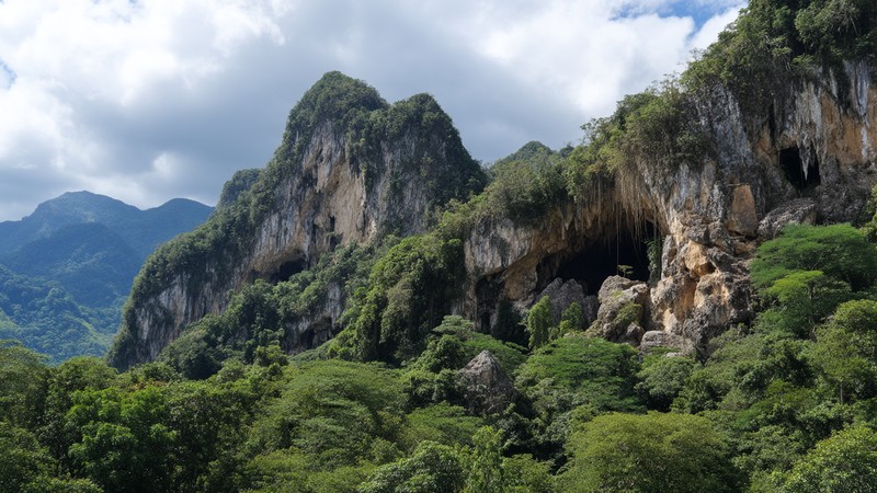 Jungle-clad limestone hills and the mouth of Cueva de las Lechuzas in Tingo María National Park