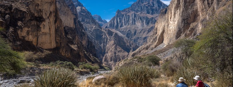 Hikers resting at an oasis inside the Colca Canyon with tall cliffs above