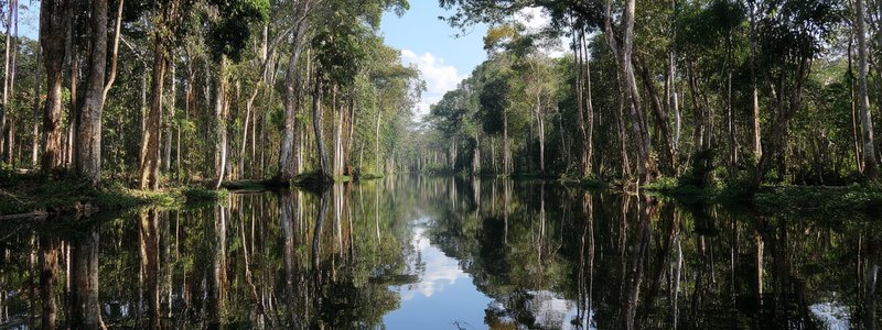 Mirror‑like water reflecting trees in Pacaya‑Samiria National Reserve